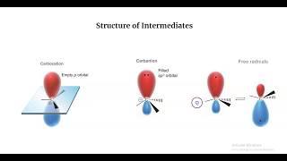 Carbocations, Carbanions, and Free Radicals