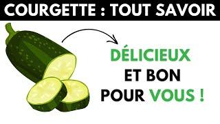 Courgette : ses dangers et bienfaits pour la santé - Dr Santé