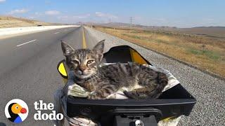 Girls On a Long Bike Trip Pick Up a Stray Kitten | The Dodo