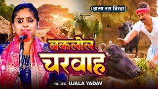 #Ujala Yadav का हास्य रस #बिरहा - बकलोल चरवाह - Bhojpuri Birha