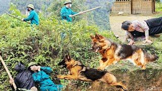 The police are chasing the dangerous Sung A Pao and the ending. What will happen to Ly Tu Hoa?