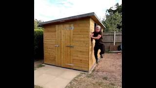 Building a shed from scratch, complete project #shed #diy #garden #woodworking