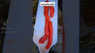 Lachsforelle verarbeitet und verpackt  #Lachsforelle #Regenbogenforellen #lachs #fish #Fischzucht