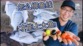 内弯全游动线组分享 悉尼钓鱼 岩钓线组 初学必看 Sydney Rock Fishing