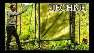 КАК СДЕЛАТЬ ДУШ В ЛЕСУ | DIY | Bushcraft Shower