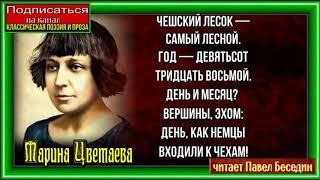 Один офицер— Марина Цветаева —Советская Поэзия — читает Павел Беседин