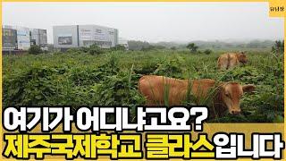 네가 왜 거기서 나와~ 여기는 제주영어교육도시라고! ㅣ제주 3부