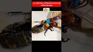 مش هتصدق ايه الجهاز اللى فوق الحشرة دى وهيعملوا بيها ايه