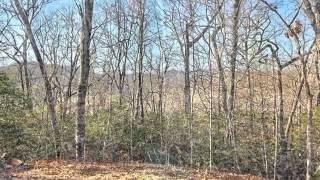 Homes for Sale - Tract4 Hightower Acres Hiawassee GA 3046 - Mike Stewart