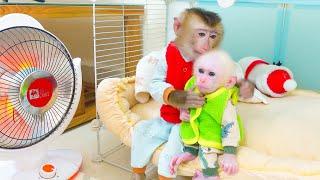 Baby monkeys Poki and Pupu are grateful to their Mom for bringing them a heater.