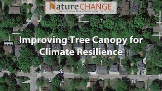 Improving Tree Canopy for Climate Resilience