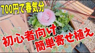 【寄せ植え】初心者でも簡単にできる植え替えで春らしく更新#StayHomeandgardening #WithMe