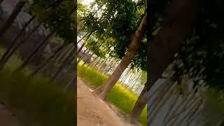 vishal chauhan star #trending #viral #shorts