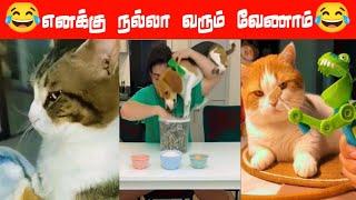 ‍⬛நீ சொல்லுவ நான் செய்வன் டா#viral #trending #comedy #funnyanimalvideos