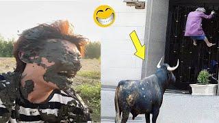 Best Funny Videos 2024 - Try Not To Laugh Funny Videos #619