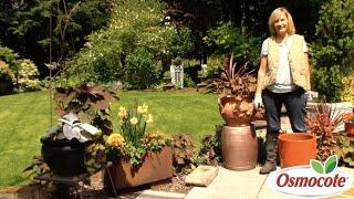 3 Tips for Container Gardening