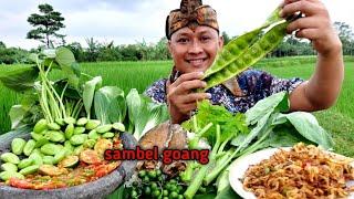 SAMBAL GOANG " MUKBANG LALAP BATANG PEPAYA MENTAH + pete mentah + daun kailan + leunca + IKAN ASIN