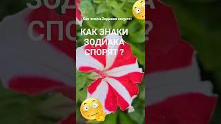 Знают, что не правы, но продолжают спорить всё равно / Эзотерика Гороскоп Астрология Знаки Зодиака