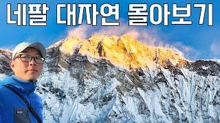 안나푸르나 트레킹 총 118km 8박 9일의 여정 | 푼힐-ABC-마르디히말