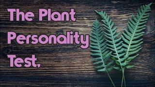 Personality Test: The Potted House Plant