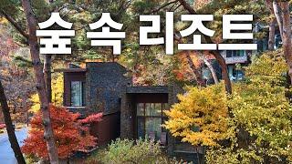 제천 포레스트리솜 힐링여행 - 숲속에서 즐기는 온천 스톤스파