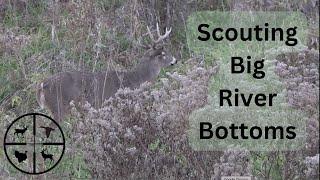 Scouting A Big Public Land River Bottom...Found the Right Tree!