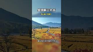 《归来》养心曲 #静心养心禅意音乐推荐 #五音疗愈 #纯音乐 #国风古韵 #轻音乐