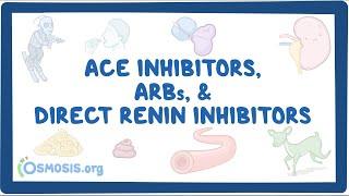 ACE inhibitors, ARBs, and direct renin inhibitors ~pharmacology~