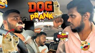 DOG  PRANK  | Car Prank | Car fooling | Tamil Taxi Car Prank | Funny Video 