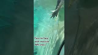 Would you get into this terrifying croc cage?#shortsvideo#crocodile#adventure
