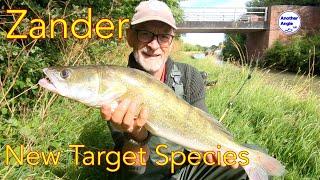 Zander fishing : First Zander to the net : Dead bait on the canal : Predator Fishing #zanderfishing