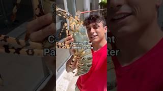 Cooking MASSIVE Painted Crayfish