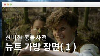 [ 신비한 동물사전 ] 뉴트 가방 장면 ( 1 )