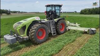 Mowing, Merging & Chopping 1st crop Alfalfa at Union Go Dairy