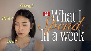 [Toronto vlog] What I spend in a week in Toronto, Budget breakdown, 해외거주 직장인 일주일 지출내역, 토론토 자취생 생활비