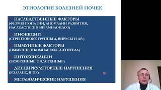Патанатомия 12. Болезни почек