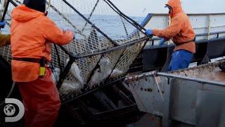 Los guardacostas realizan una inspección a un barco pesquero| Pesca Mortal | Discovery Latinoamérica