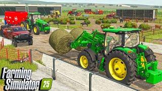 I Build An $2,000,000 CATTLE RANCH From SCRATCH! | Farming Simulator 25