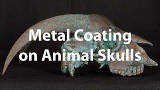 Metal Coating on Animal Skulls