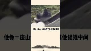 如果你是大猩猩，会救小孩吗？#世界 #故事