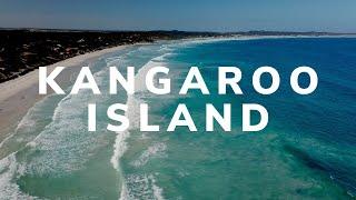 Kangaroo Island Road Trip!