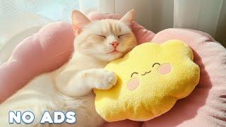 12 Hours Of Anti Anxiety Music For Cats  Stress Relief Music For Cats  Calming Music For Cats