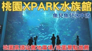 2024 Xpark水族館 星光票入場 桃園置地廣場  桃園景點