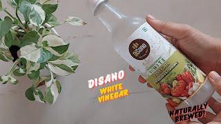 DiSano White Vinegar Review | DiSano White Vinegar Uses | DiSano Naturally Brewed White Vinegar