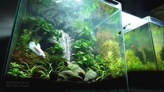 How To Make Underwater Sandfall for Betta Aquarium Cube TANK