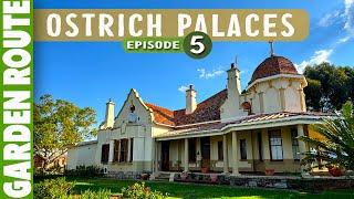 Ostrich Palaces