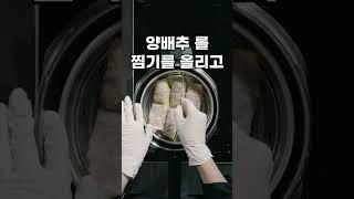 양배추 롤과 토마토 소스를 한 번에?! | 압력솥 레시피