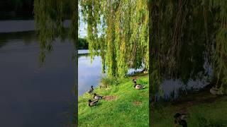 #гарногодня #природа