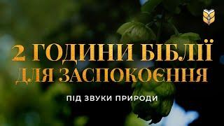 2 годин Біблії для заспокоєння під звуки природи. Сучасний переклад українською мовою