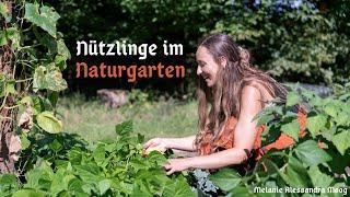 Reiche Ernte dank Nützlingen - Naturgarten im Rheinland I Selbstversorgung am Wald